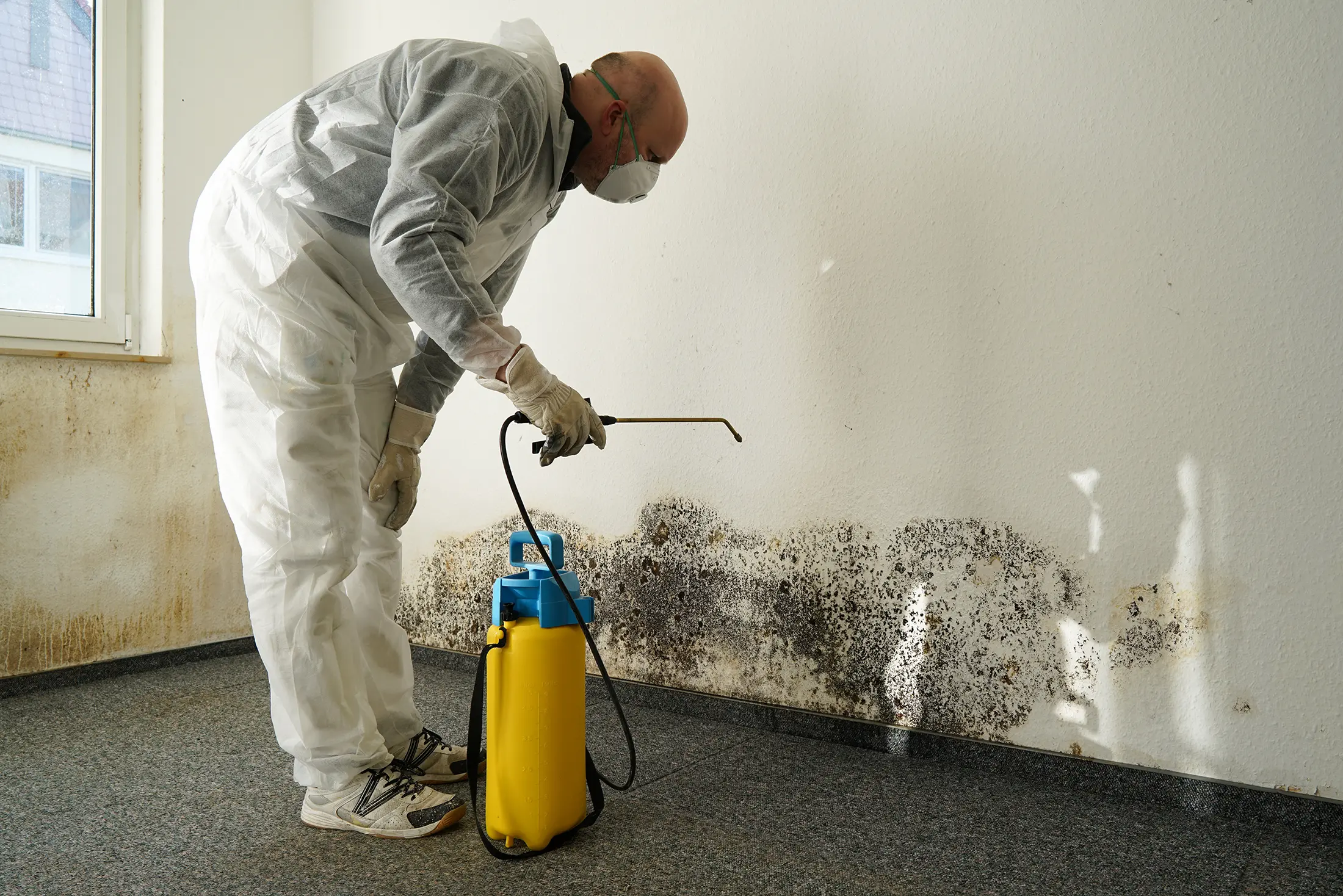 Ein Mann trägt weiße Overalls und besprüht eine schimmelige Wand mit einem Sprühgerät.